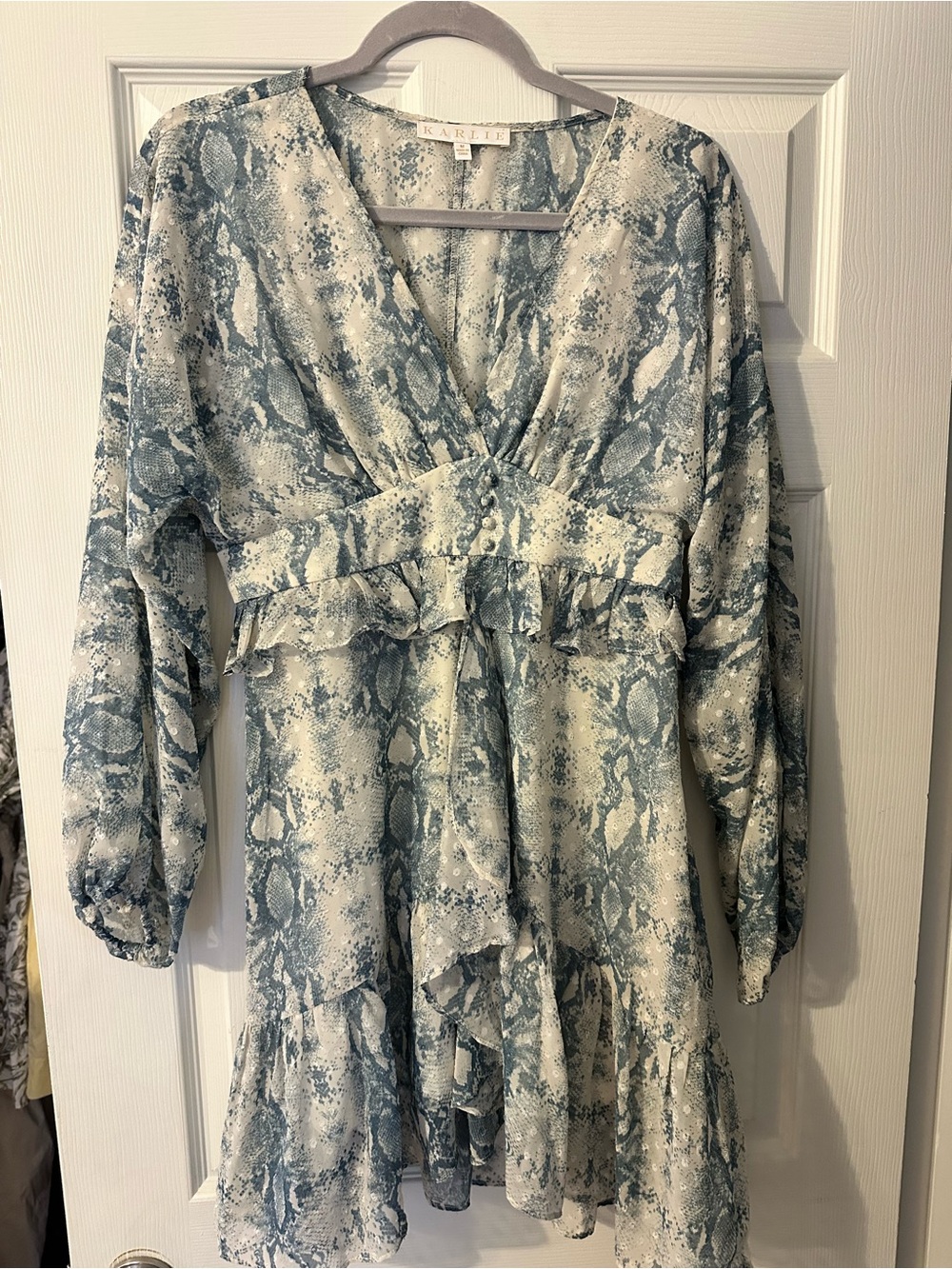 Karlie Blue and White Snake-Print Long Sleeve Tiered Mini Dress